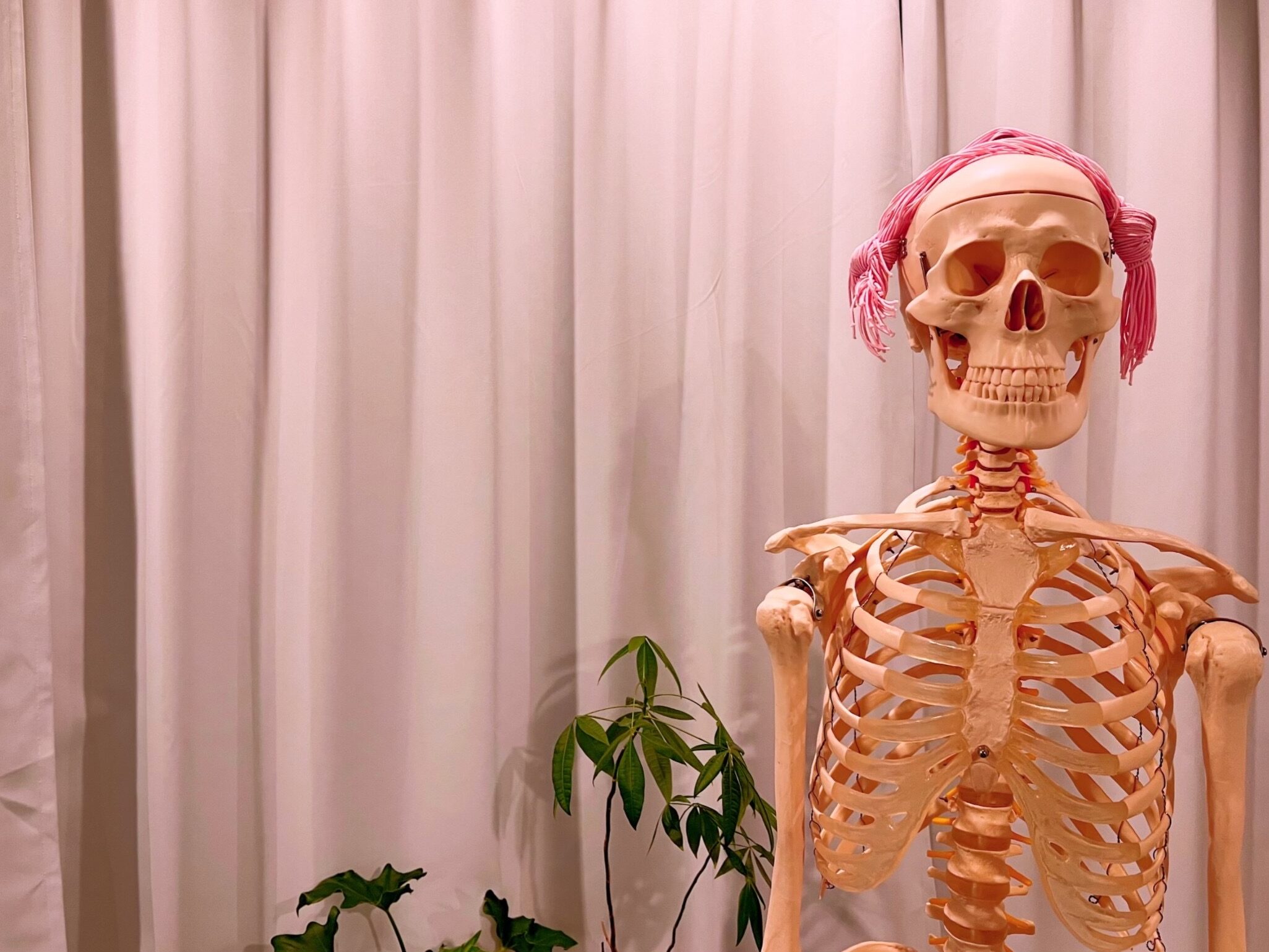 横手さだひさ 腱エクササイズ