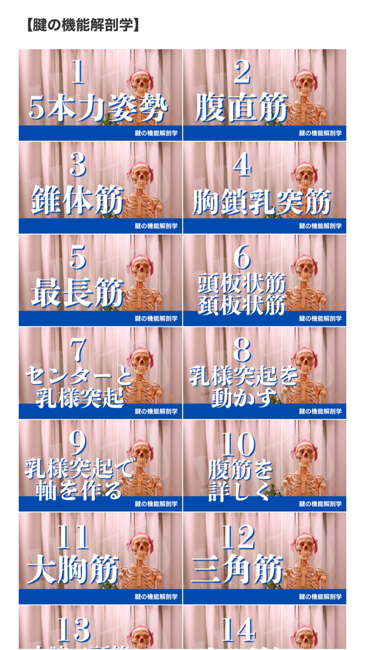 動画講座の様子